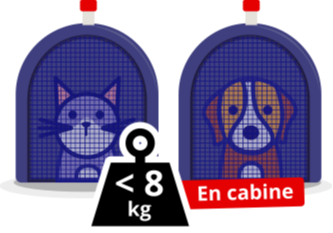 imagen transporte animales cabina